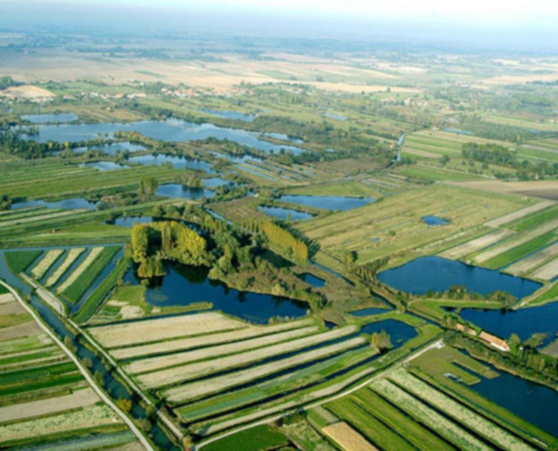 La Terrasse Fleurie Lägenhet Saint-Omer  Exteriör bild